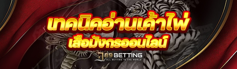 เทคนิคอ่านเค้าไพ่ เสือมังกรออนไลน์